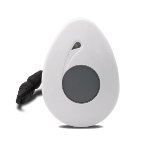 2319-RH2222S Fall Pendant